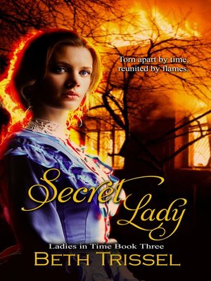 cover image of Secret Lady